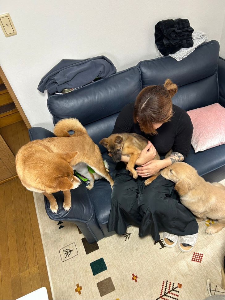 きなことくるみとこはく