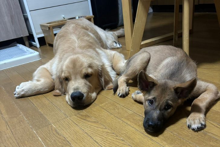 こはくともなか