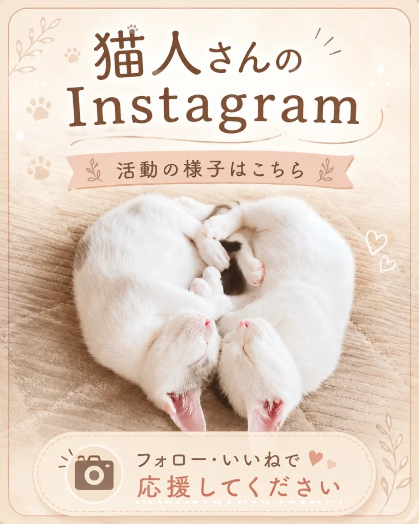 猫人さんInstagramはこちら！