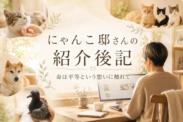 紹介後記「にゃんこ邸」さん。アイキャッチ画像
