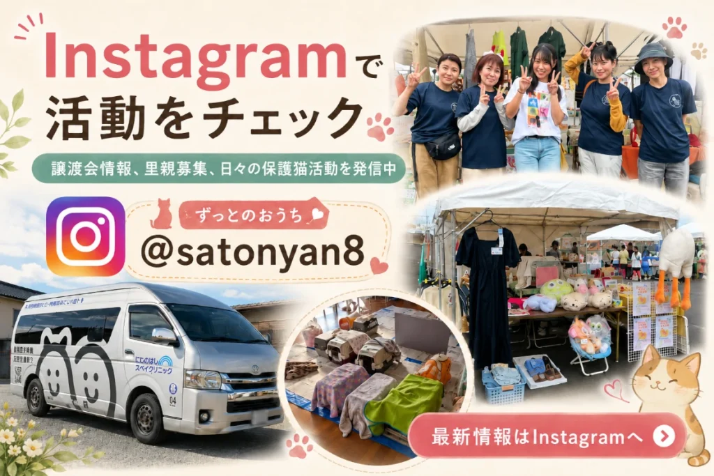 三重県松阪市でTNR・保護猫活動「ずっとのおうち」インスタグラムはこちら。
